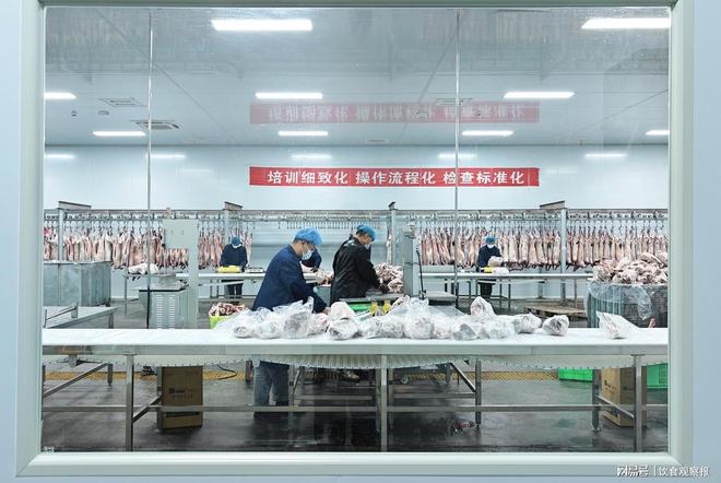 “寻滩鲜滩羊”：让科学养殖扎根大地让可持续发展照亮滩羊产业(图3)