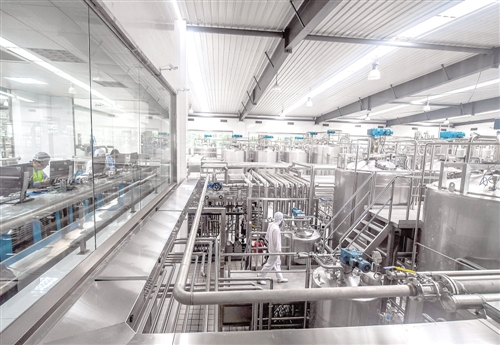 科技赋能食品安全：构筑 “舌尖上的安全” 防线