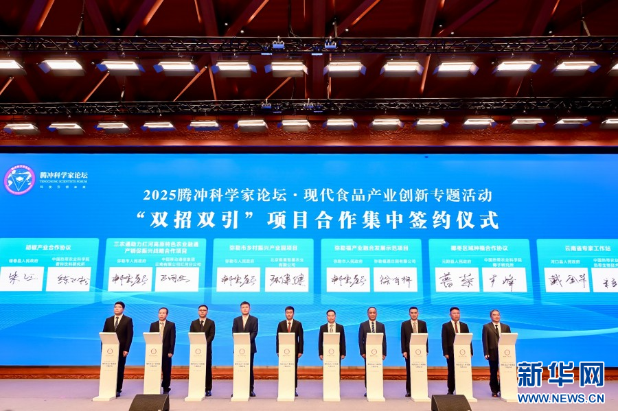 2025腾冲科学家论坛丨院士聚首红河弥勒 共绘现代食品产业创新图景_新华网