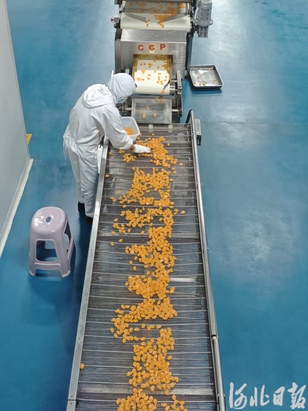 新闻纵深·县域特色产业新力量丨一条食品链上崛起“华北零食柜”(图3)