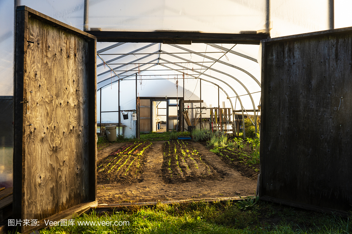 东太湖帆船家庭日：环保材料制作的可持续赛事装备(图1)