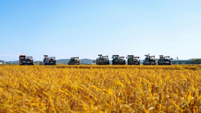 从田间到餐桌：十月稻田全链路布局助力农产品消费升级(图3)