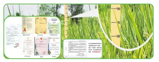 禾玖乐探索“全产业链”运营模式助力乡村产业振兴与可持续发展(图3)