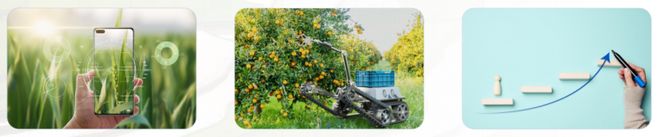 禾玖乐探索“全产业链”运营模式助力乡村产业振兴与可持续发展(图7)