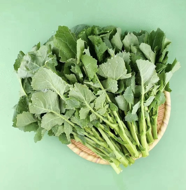 扬翔食品又上新啦！板蓝根水饺养眼又养生