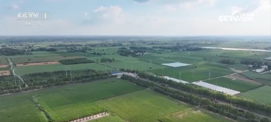 抗旱保供与时间赛跑 各地全力应对持续高温天气(图4)