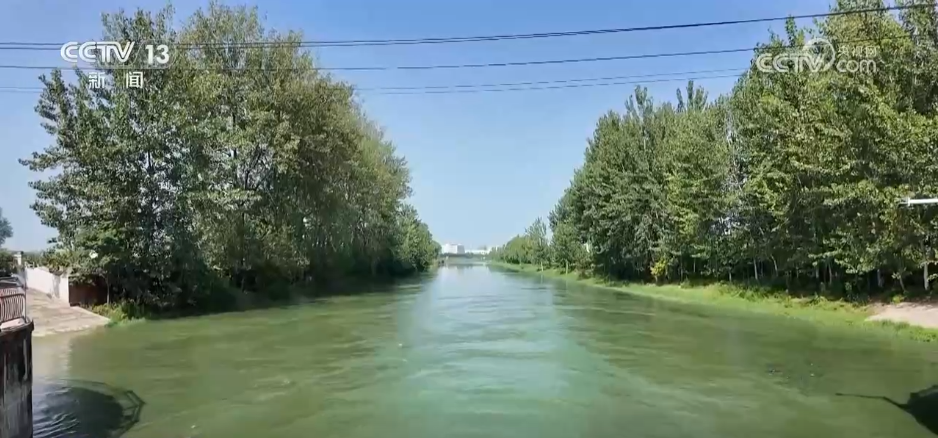 抗旱保供与时间赛跑 各地全力应对持续高温天气(图6)