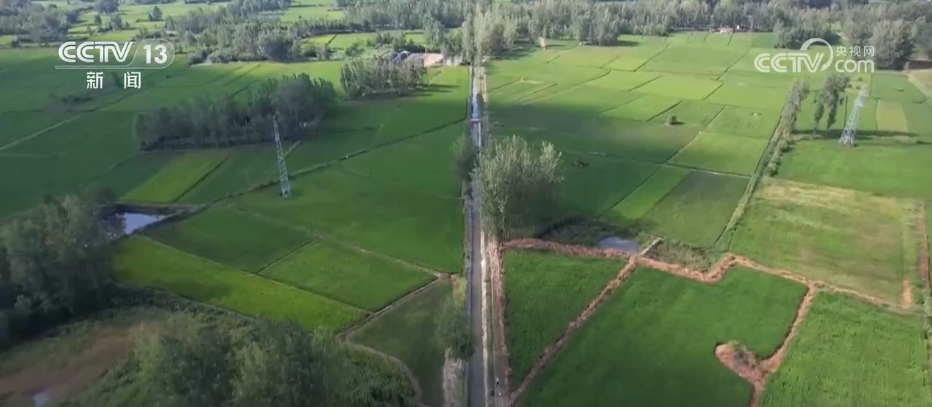 抗旱保供与时间赛跑 各地全力应对持续高温天气(图7)