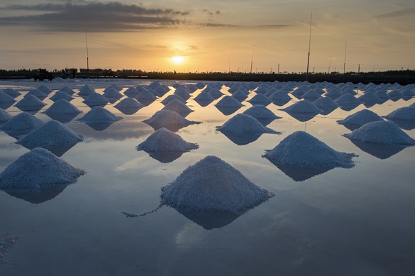 广东盐业集团上半年实现“双过半”(图2)