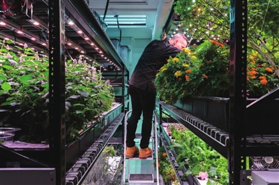 农业银行两日连夺A股市值第一 股价再创历史新高！7家银行跻身A股市值前20(图1)