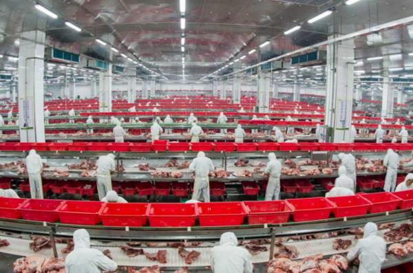 科技赋能+全链条管控：金锣集团打造肉制品安全新标杆