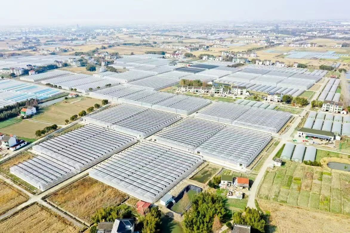 產值、稅收雙飄紅！廊下上半年憑啥跑出“加速度”？(图2)