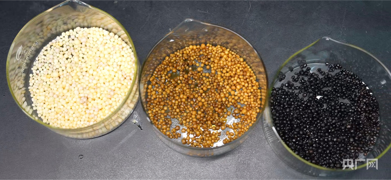 把废气变肥膜昆工团队用“碳硫新生”赋能农业绿色升级(图1)