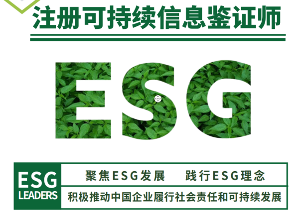 注册可持续信息鉴证师RSIA锚定ESG未来十年(图1)