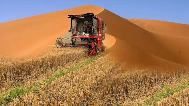 高考地理中的沙漠农业(图1)