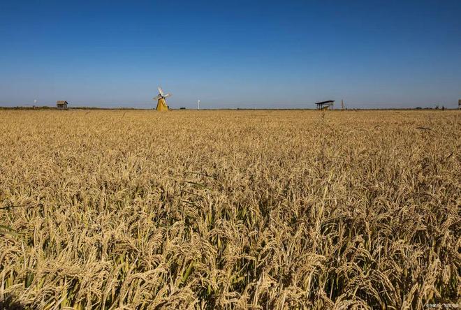 高考地理中的沙漠农业(图3)