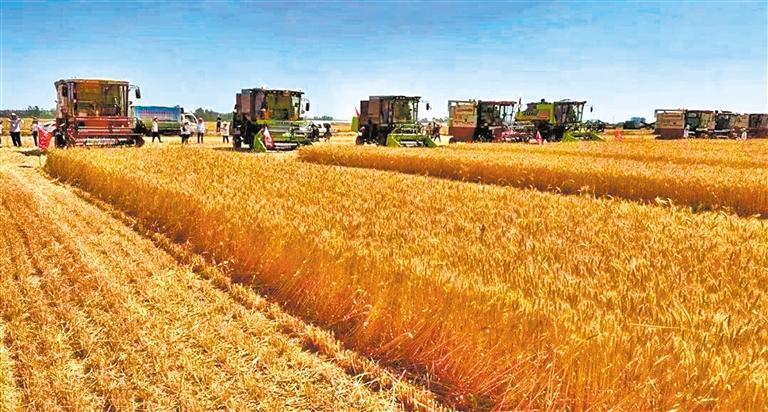 【高质量发展产业调研】服务强农