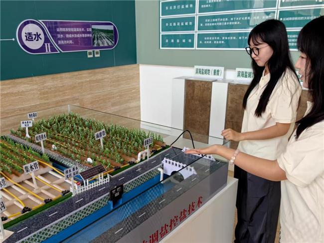 向盐碱地出发山农师生用青春力量唤醒黄河湾的生命力——山东农业大学资源与环境学院师生助力东营盐碱地生态保护与农业可持续发展(图2)