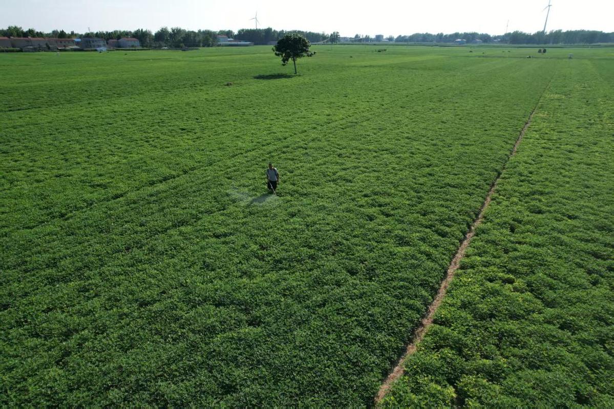 品牌案例_农视网