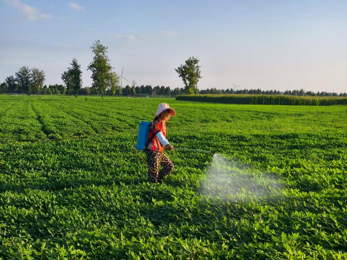品牌案例_农视网(图2)