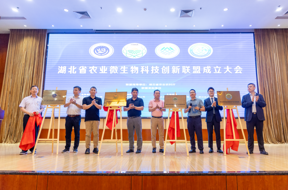 富邦科技2025年中报：创新现代农业服务模式 全球化运营成效显著(图4)