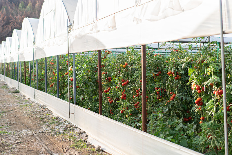 白皮书：2024年中国农业无人机年作业量突破26亿亩次(图1)