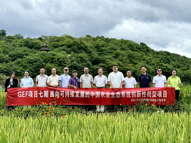 贵州大学GEF项目助力农耕转型(图1)