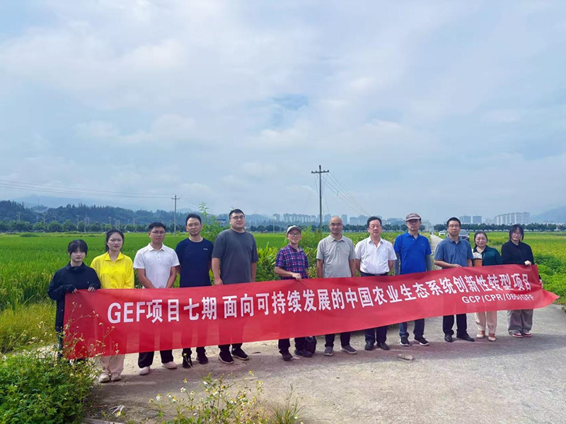 贵州大学GEF项目助力农耕转型(图3)