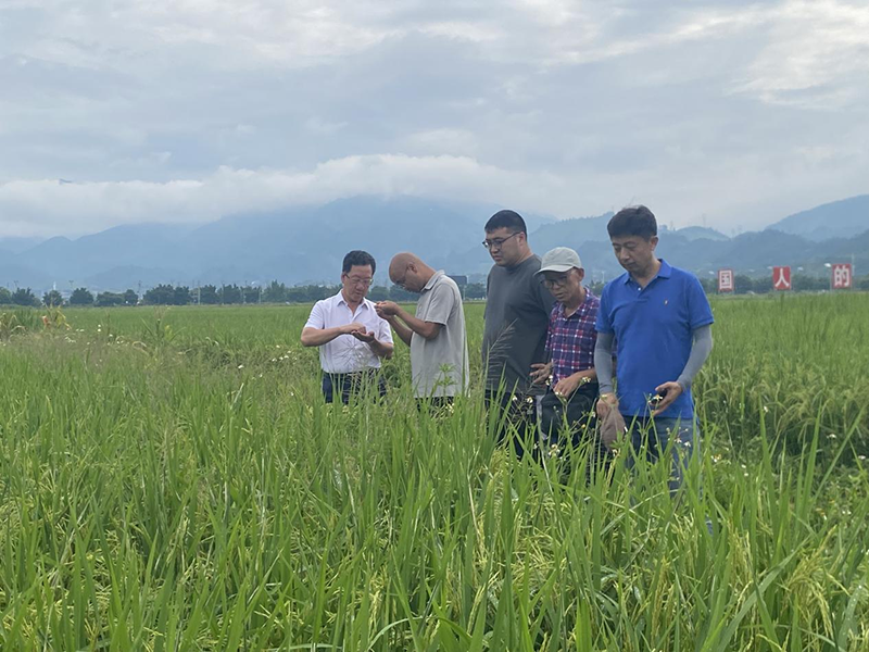 贵州大学GEF项目助力农耕转型(图4)