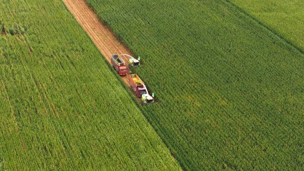 中化农业MAP发布《2024绿色高质量发展报告(图3)