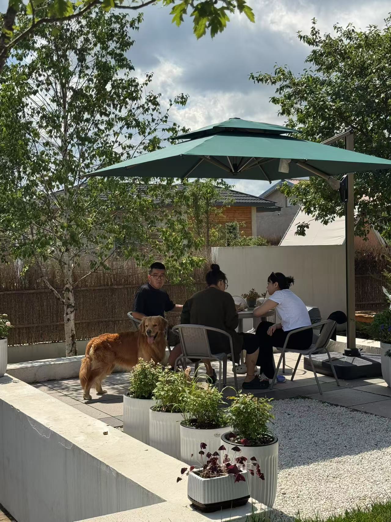 乡村新业态如何可持续发展？(图4)