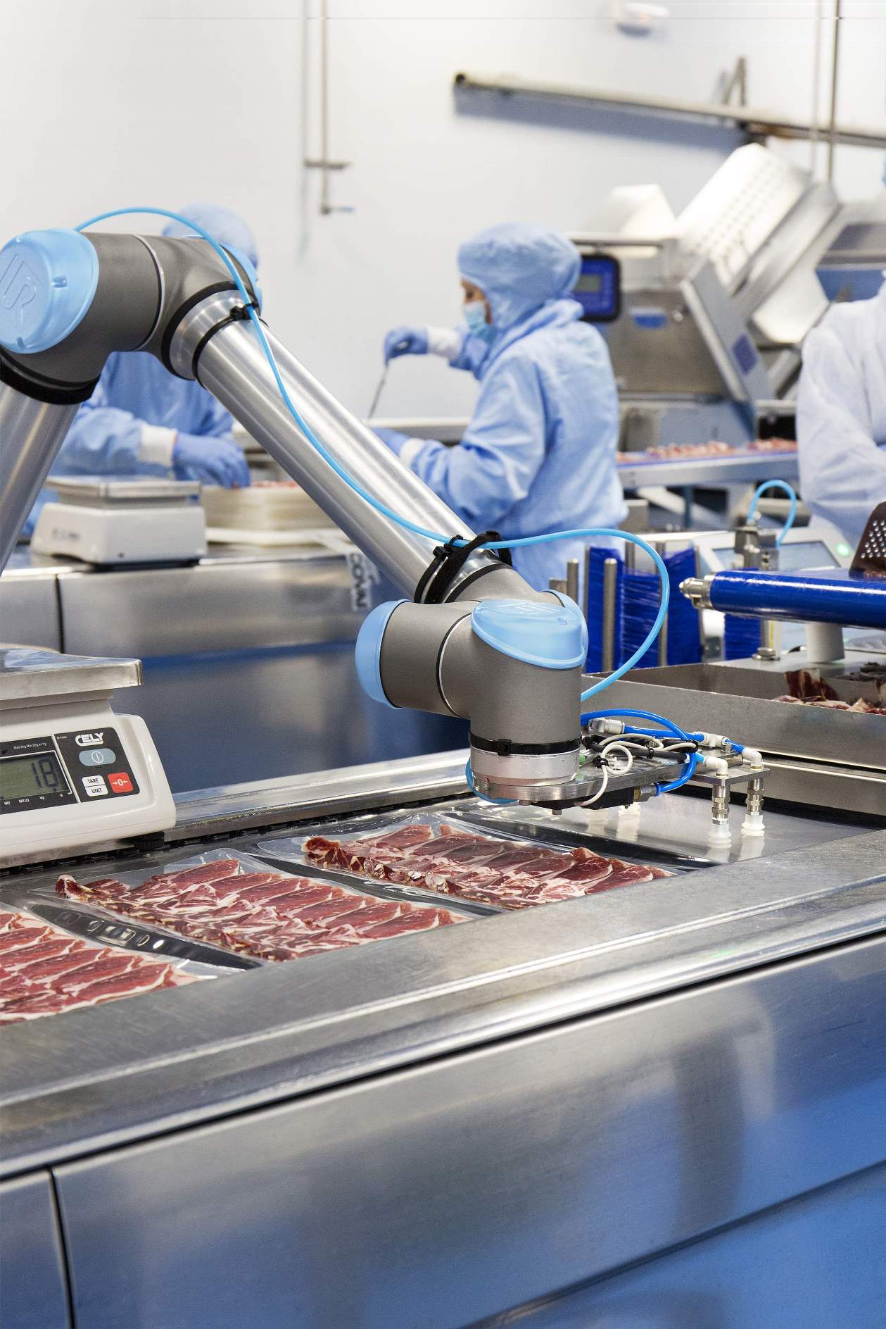 2025年度“中国食品科学技术学会食品科技专项基金—雅培营养与安全科研基金”指南