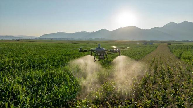 大疆农业发布《农业无人机行业白皮书（20242025）》(附6点解读)(图2)