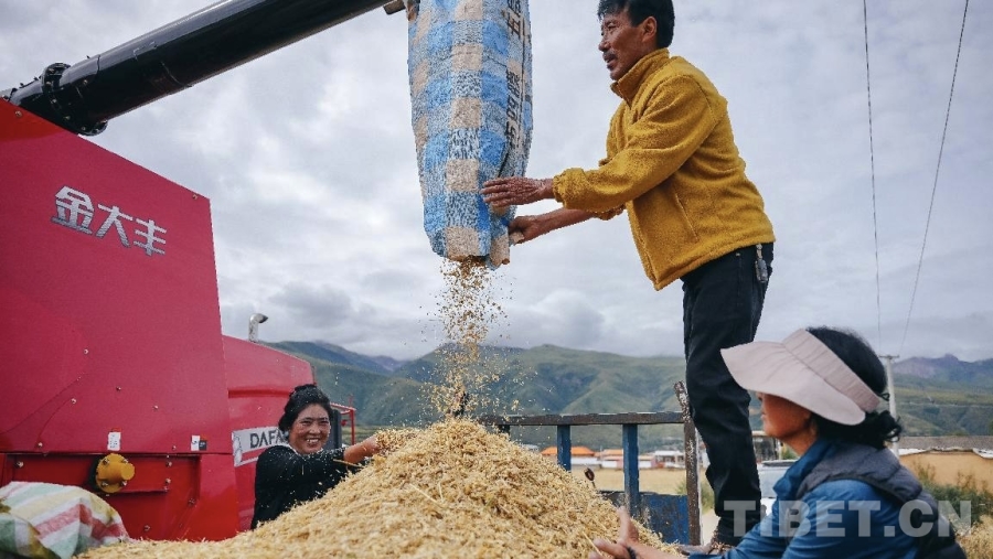 四川甘孜县：探索高原农业现代化新路径(图1)