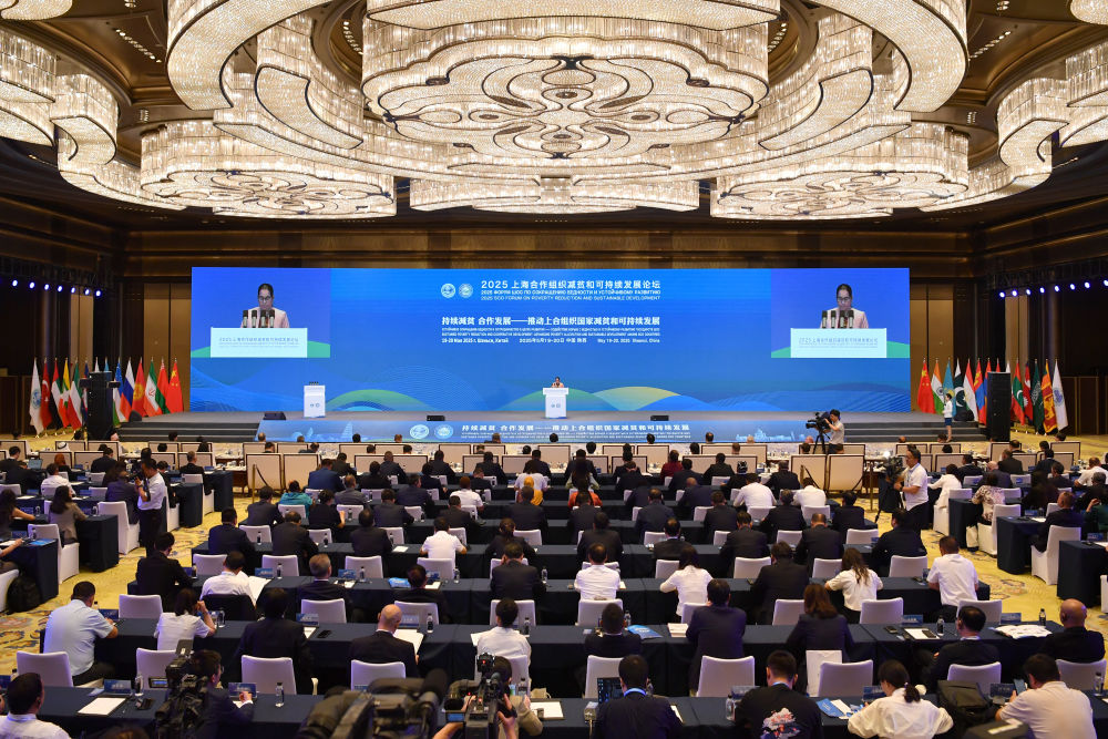 上合组织天津峰会丨建设繁荣发展的共同家园——中国携手上合组织伙伴共走可持续发展之路(图2)