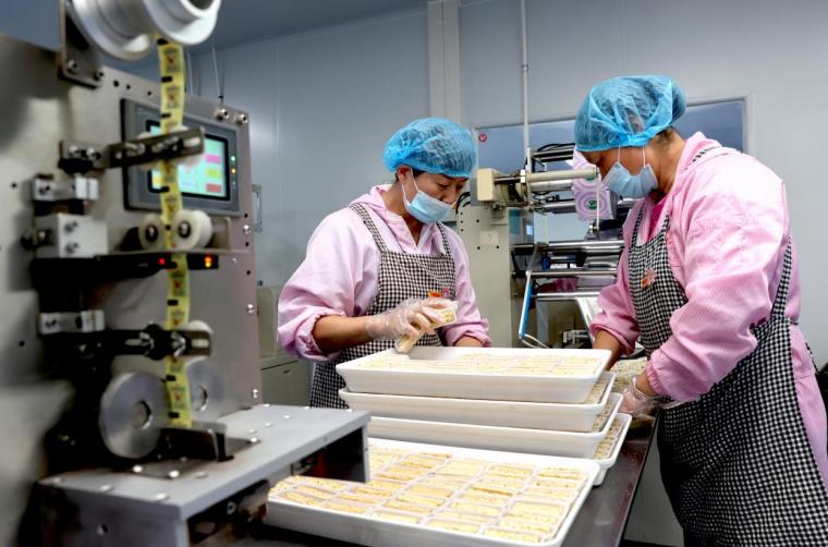 銅陵：校企“牽手” 向“新”而行