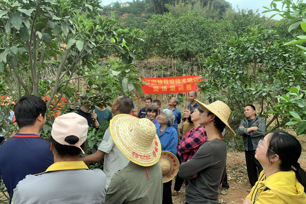 容县：“三才”并举赋能高质量发展