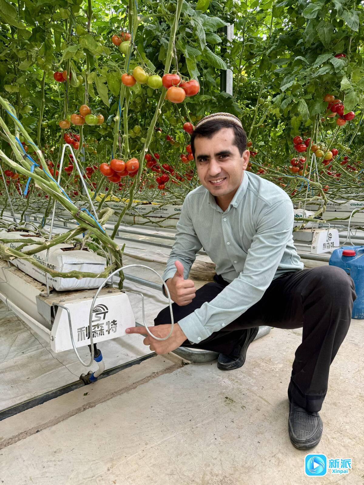 潍坊国家农综区：新时代中国农业走向世界的国家名片(图2)