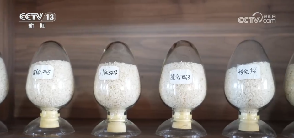 巡检机器人、无人化工厂……解锁农业“智”管新范式 科技赋能好“丰”景(图3)