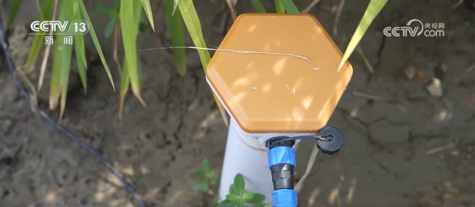 巡检机器人、无人化工厂……解锁农业“智”管新范式 科技赋能好“丰”景(图7)