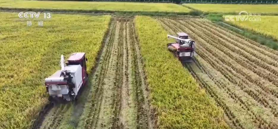 巡检机器人、无人化工厂……解锁农业“智”管新范式 科技赋能好“丰”景(图4)