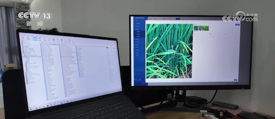 巡检机器人、无人化工厂……解锁农业“智”管新范式 科技赋能好“丰”景(图6)