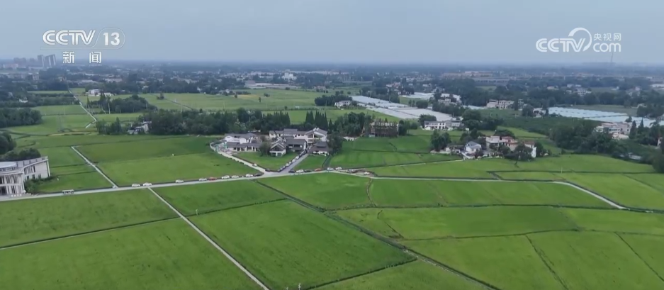 巡检机器人、无人化工厂……解锁农业“智”管新范式 科技赋能好“丰”景(图5)