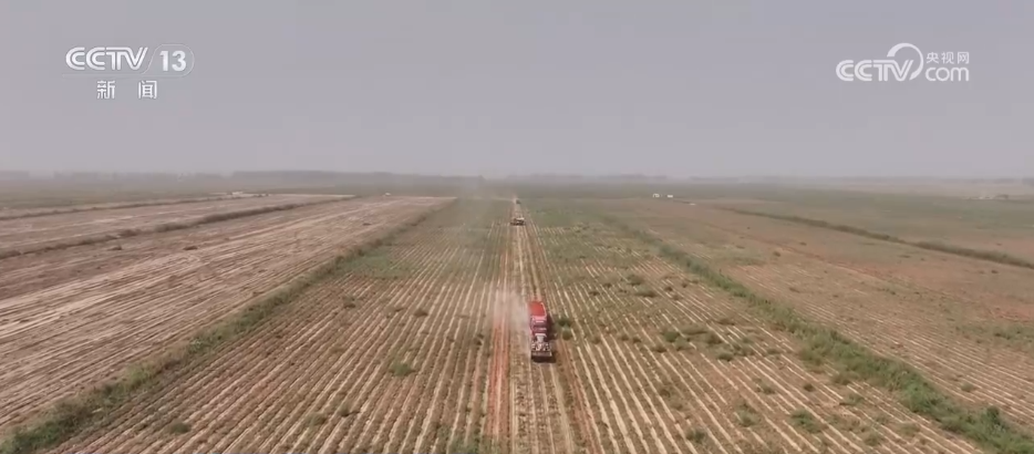 巡检机器人、无人化工厂……解锁农业“智”管新范式 科技赋能好“丰”景(图11)