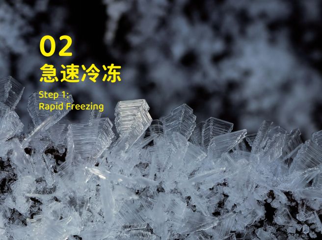 象乡宠物食品 零食界的“黑科技”宠物冻干