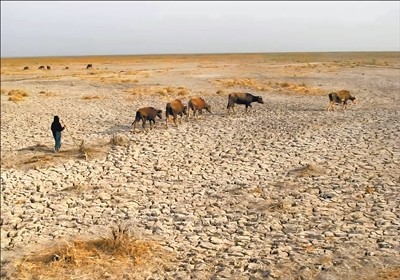 协力应对全球干旱挑战（国际视点）