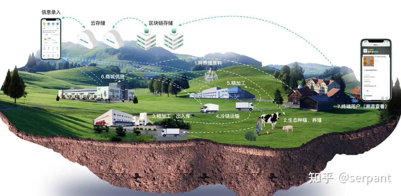 薇log｜从山东农田到全球餐桌 山东农业已NEXT LEVEL