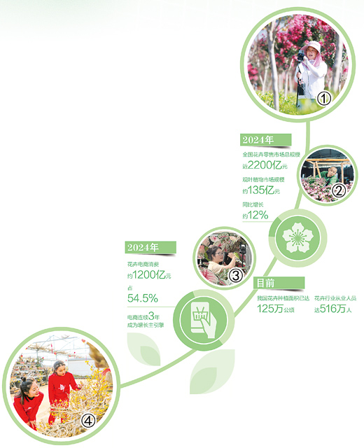 小小绿植缘何成网红（农产品新消费观察）(图2)