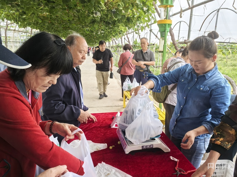 陕西礼泉依托农文旅融合发展 打造“周末休闲”好去处