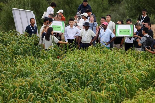 中国日报看山西｜有机农业为贫困村注入“绿色动能”